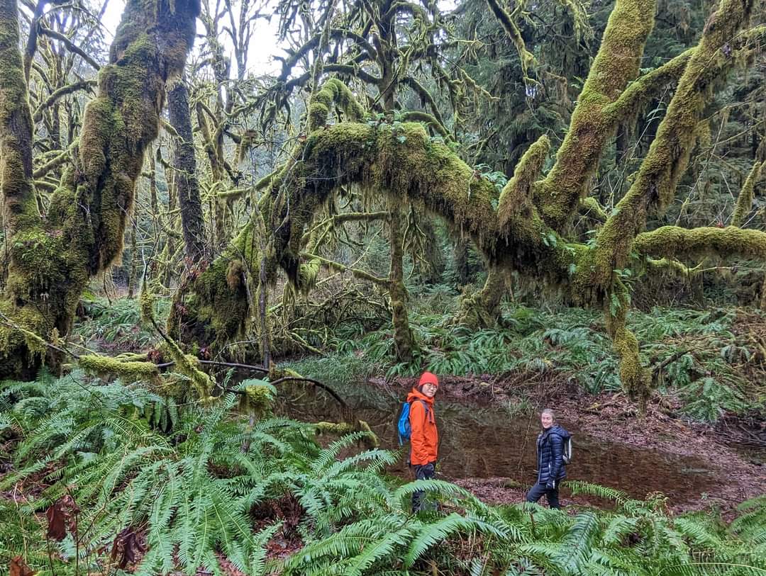 Two people stand in a mossy forest grove.